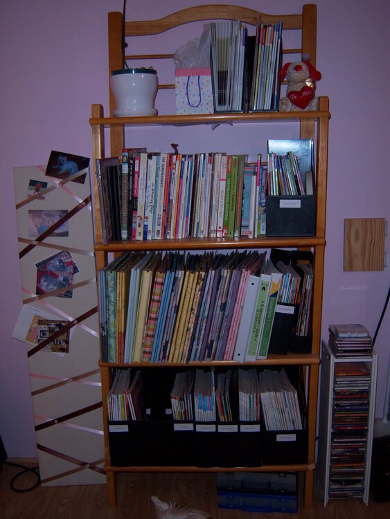 large book shelf AFTER