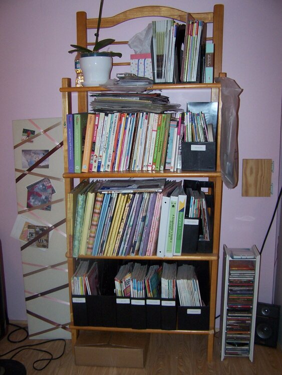 large book shelf BEFORE