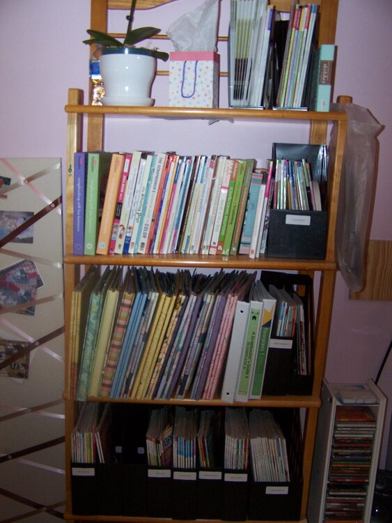 large bookshelf