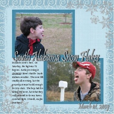 South Alabama Snow Flakes