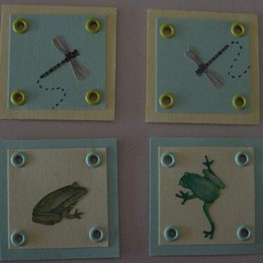 Frog N Dragonfly Deco Squares