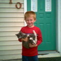 Tristan and the kitty