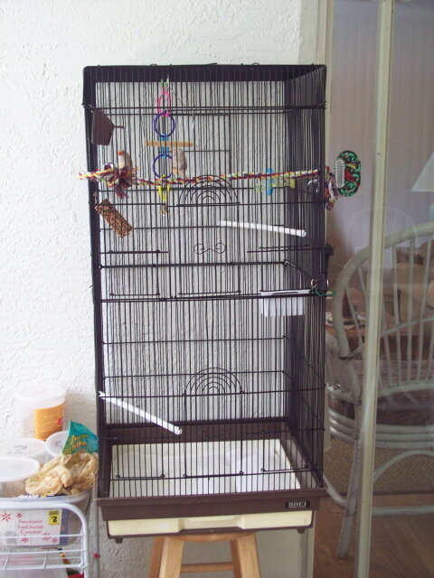 new cage 2