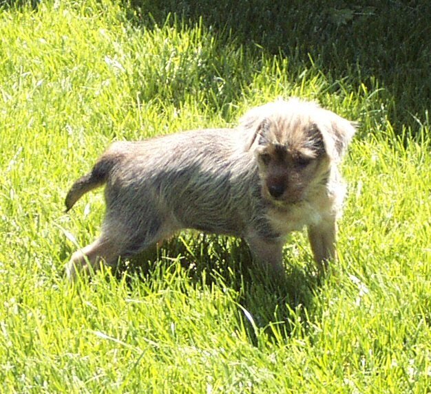 Billie Holiday at 6 weeks!