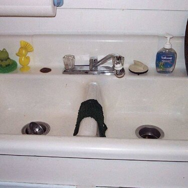 Yes, my sink....