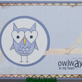 Owlways...