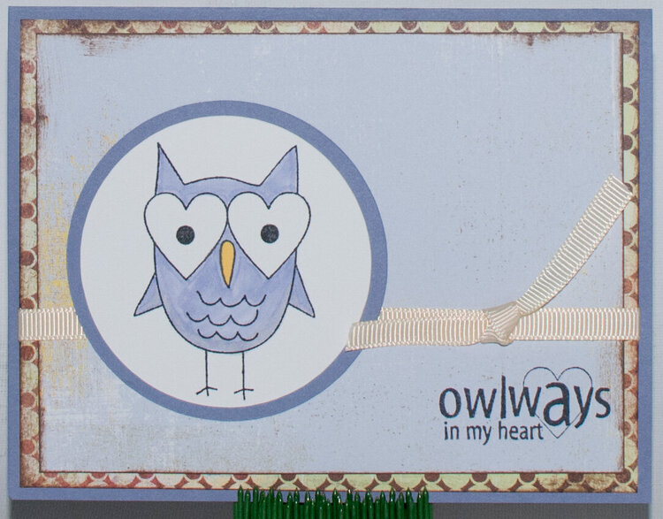 Owlways...
