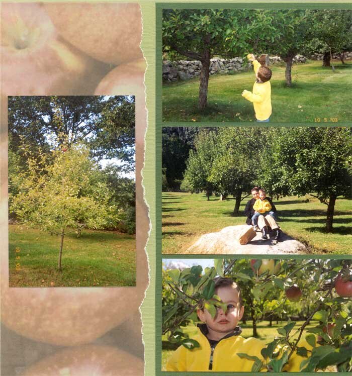 Apple Picking II