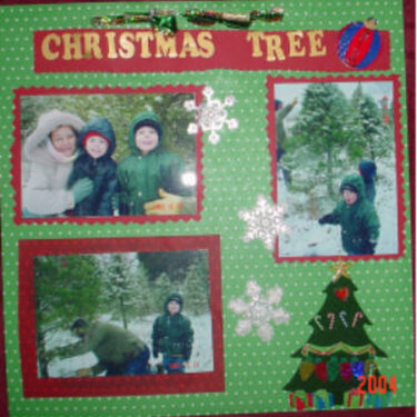 Christmas Tree Picking