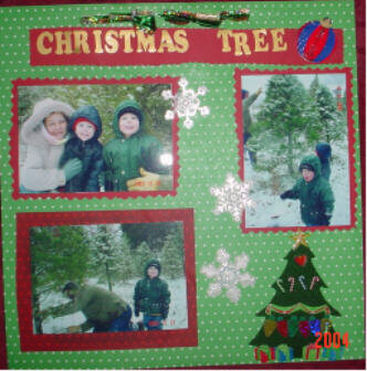 Christmas Tree Picking
