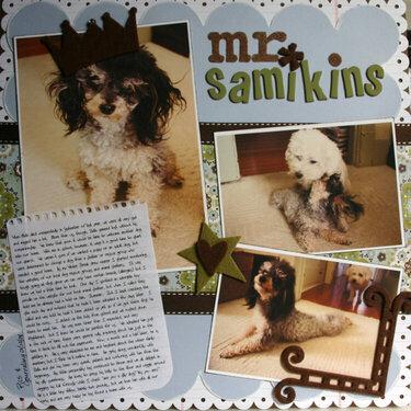 Mr. Samikins