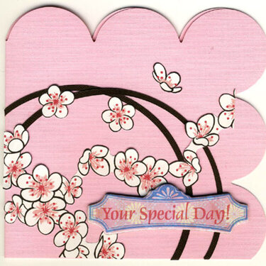 Your Special Day Card