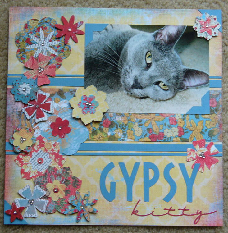 gypsy kitty
