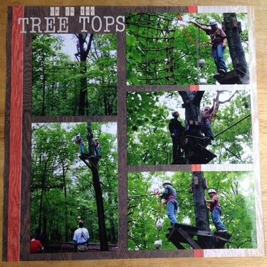 up in the treetops