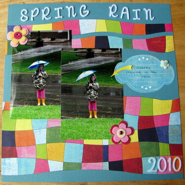 spring rain 2010