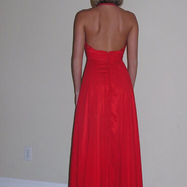 Sarah&#039;s prom dress back