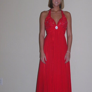 Sarah&#039;s prom dress front