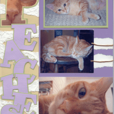 Peaches Page 1