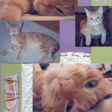 Peaches Page 2