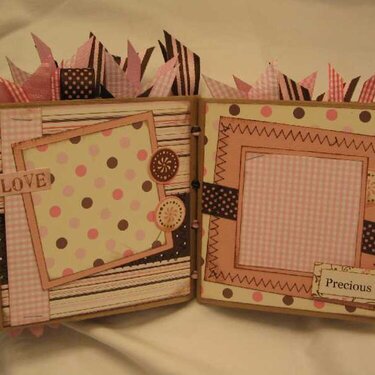 Baby Girl Paper bag album