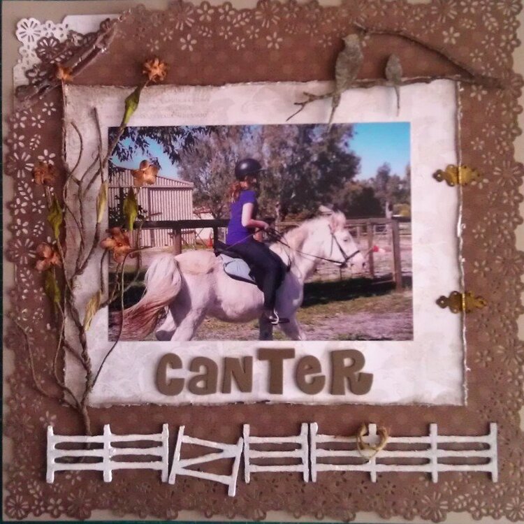 Canter