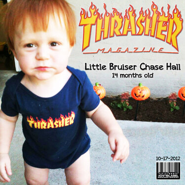 Little Thrasher