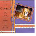 Cosmo--One Dog