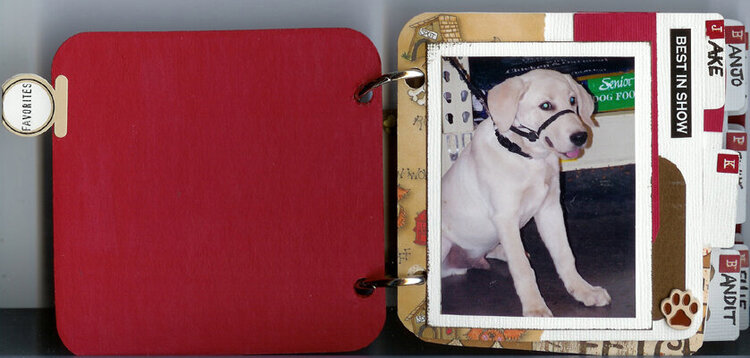 Puppy Mini file folder book