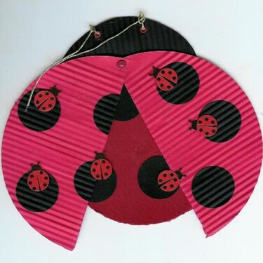 Lady Bug Altered CD