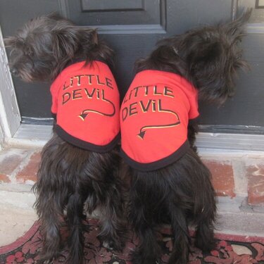 my little devils