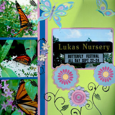butterfly festival pg.2