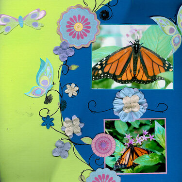 butterfly festival pg.1