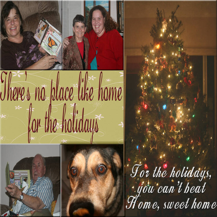 no_place_like_home_for_the_holidays
