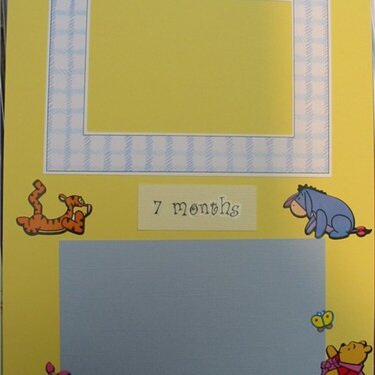 Pooh-7 months-baby book