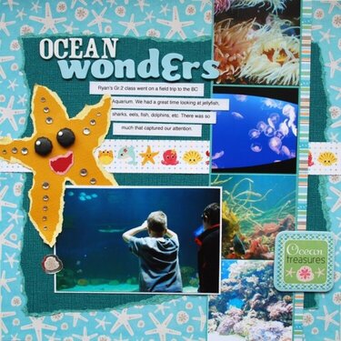 Ocean Wonder *Imaginisce & Core'*