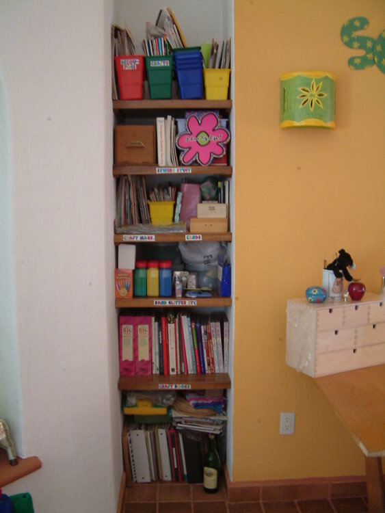 Shelves Left/scrap room