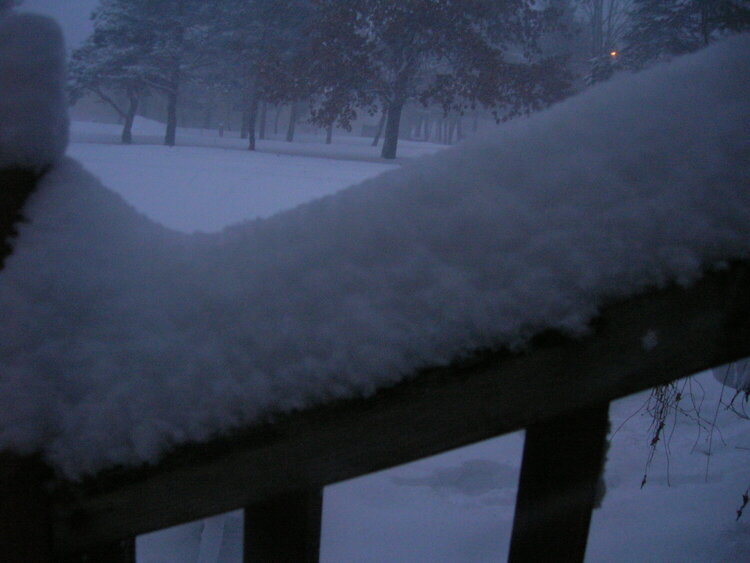 amount of snow that has fallen this a.m. 12-19-08