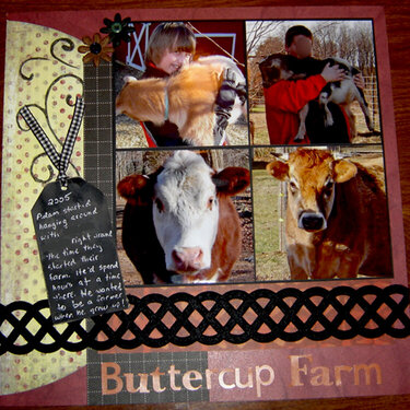Buttercup Farm