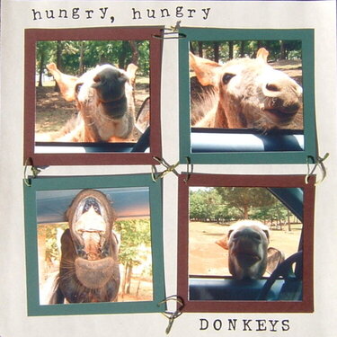 Hungry, Hungry Donkeys