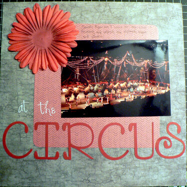 At the Circus