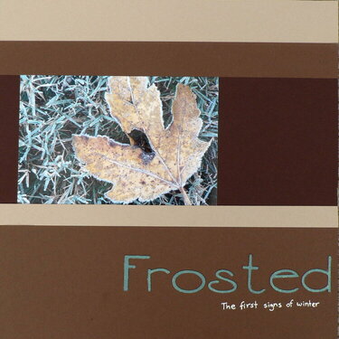 Frosted - the first signs of winter
