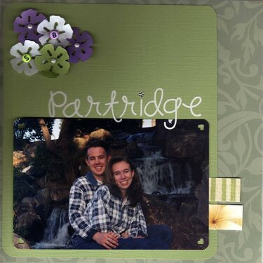 Partridge Wedding Sign In Book