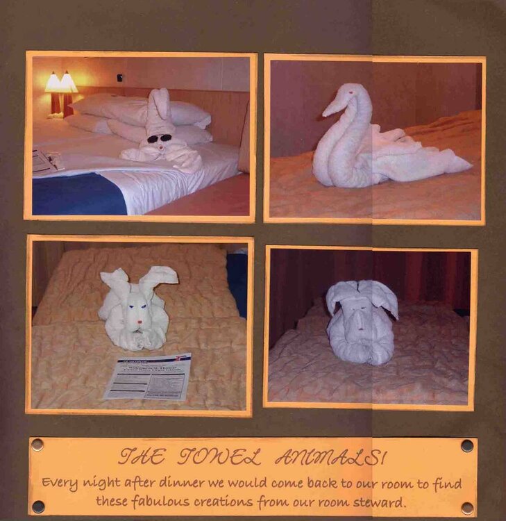 Towel Animals