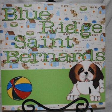 Blue Ridge Saint Bernards