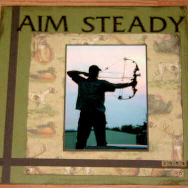 aim_steady