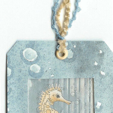 Seahorse tag