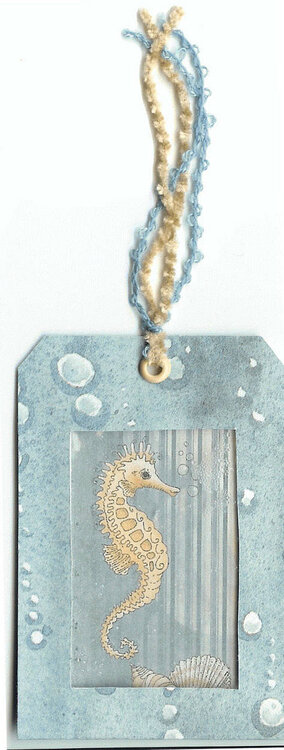 Seahorse tag