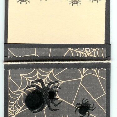 DCWV spider library pocket