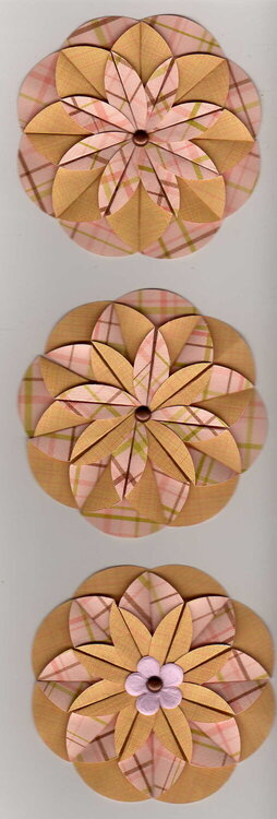 pink/peach dahlia fold