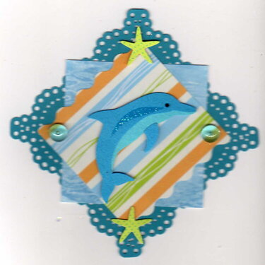 dolphin medallion